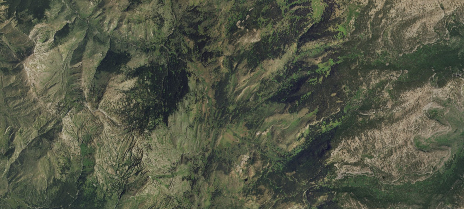 Map of Fox Creek