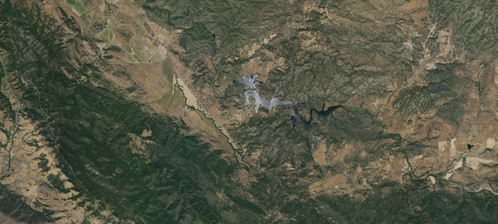 Map of Gray Pine