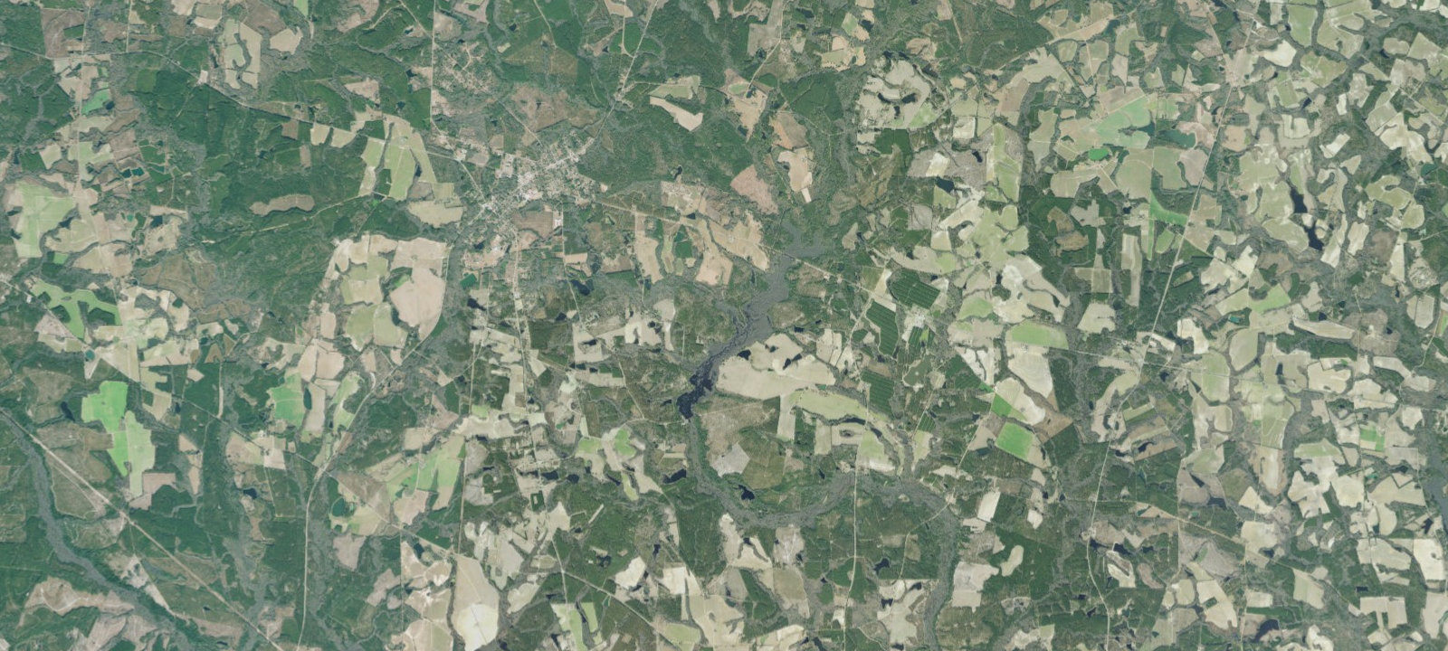 Map of Primitive 1