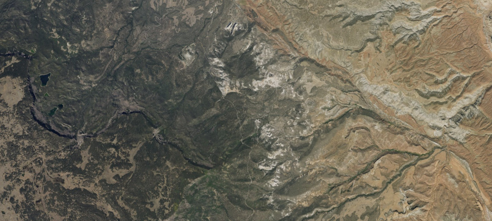 Map of Site 19
