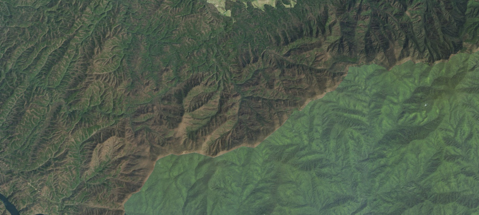 Map of Forge Creek #12