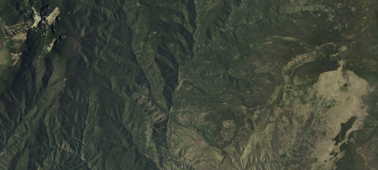 Map of Davis Willow