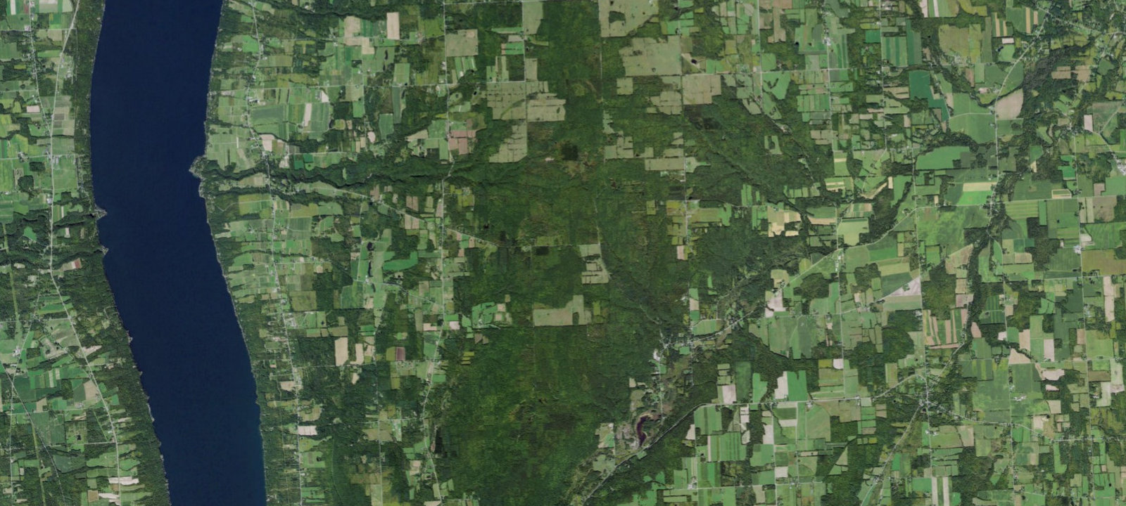 Map of Blueberry Patch Campground