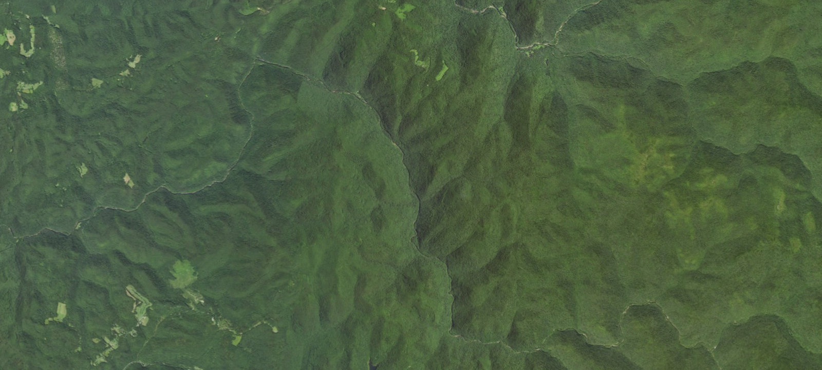 Map of Poplar Branch Shelter