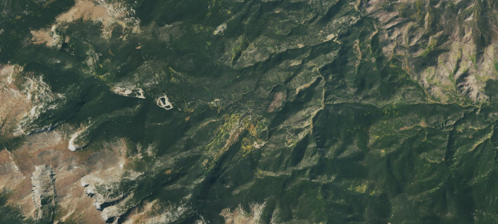 Map of Tom Bennett