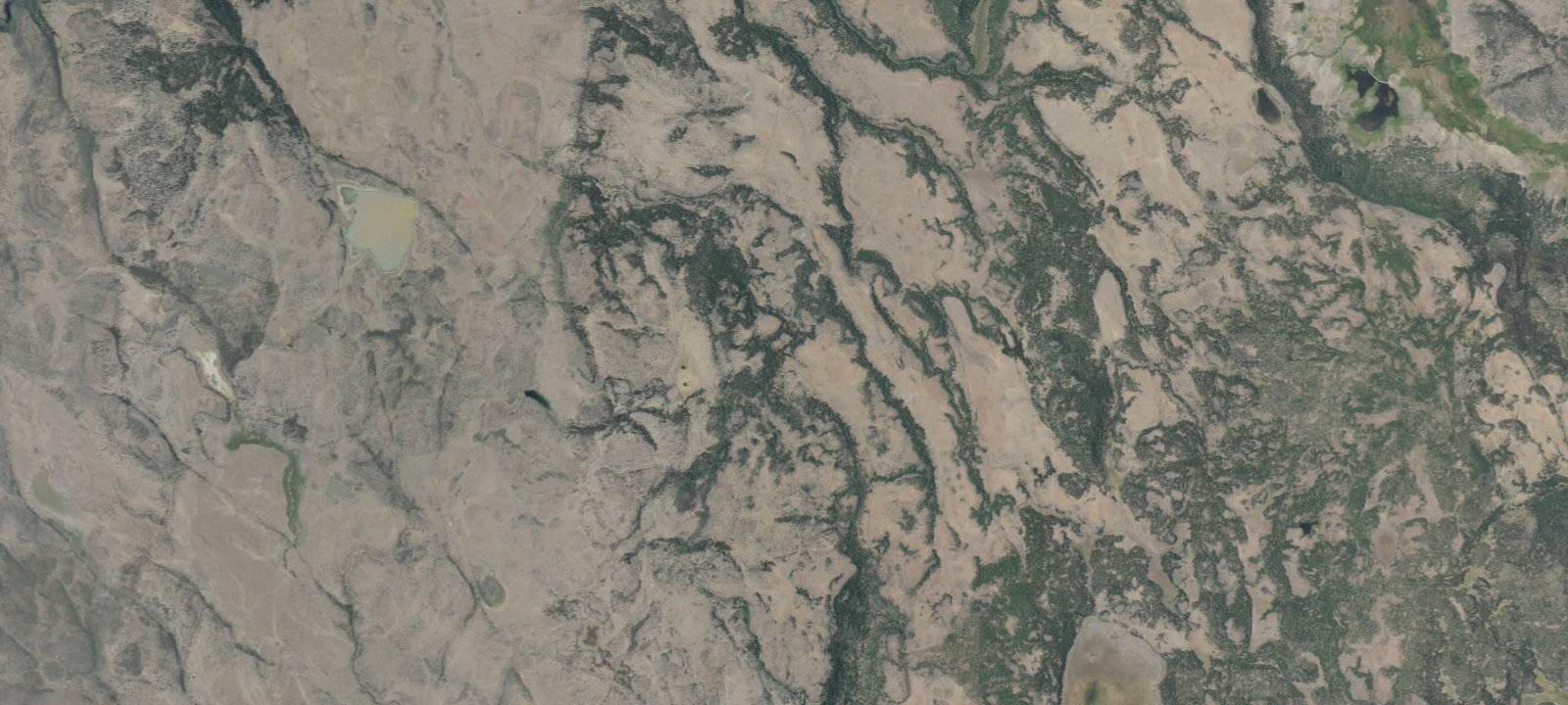 Map of Campsite