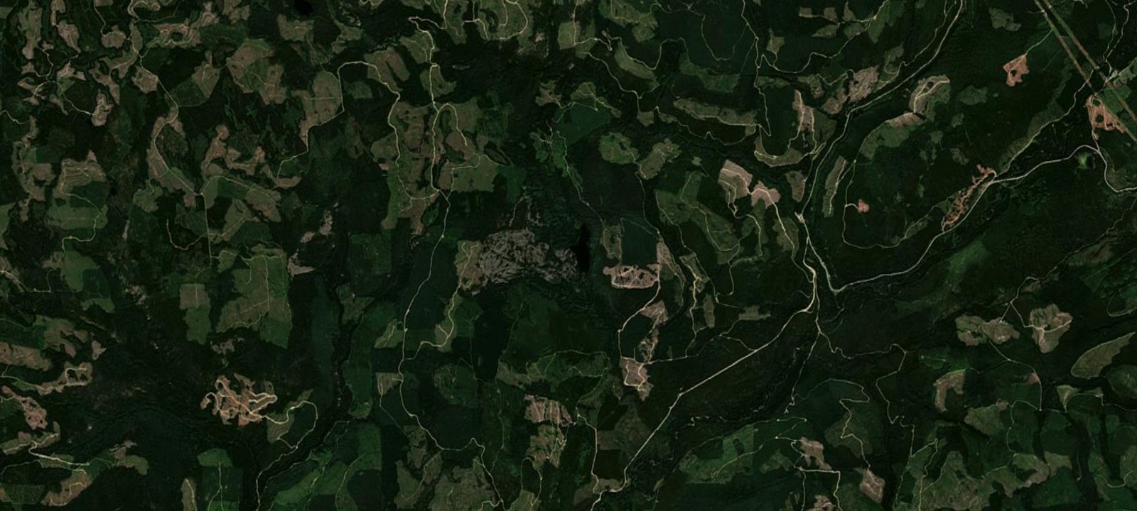 Map of Bisson Lake Recreation Site