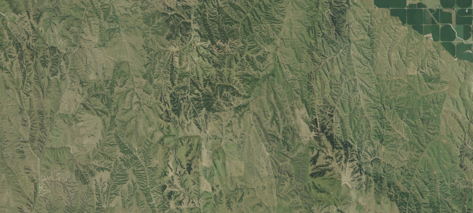 Map of Potter's Pasture New Camp