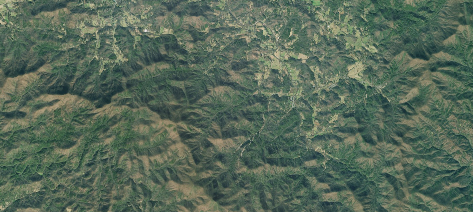 Map of Wolf Creek Campsite