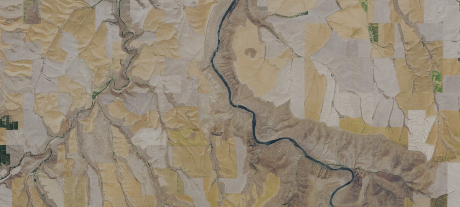 Map of Free Bridge Camp