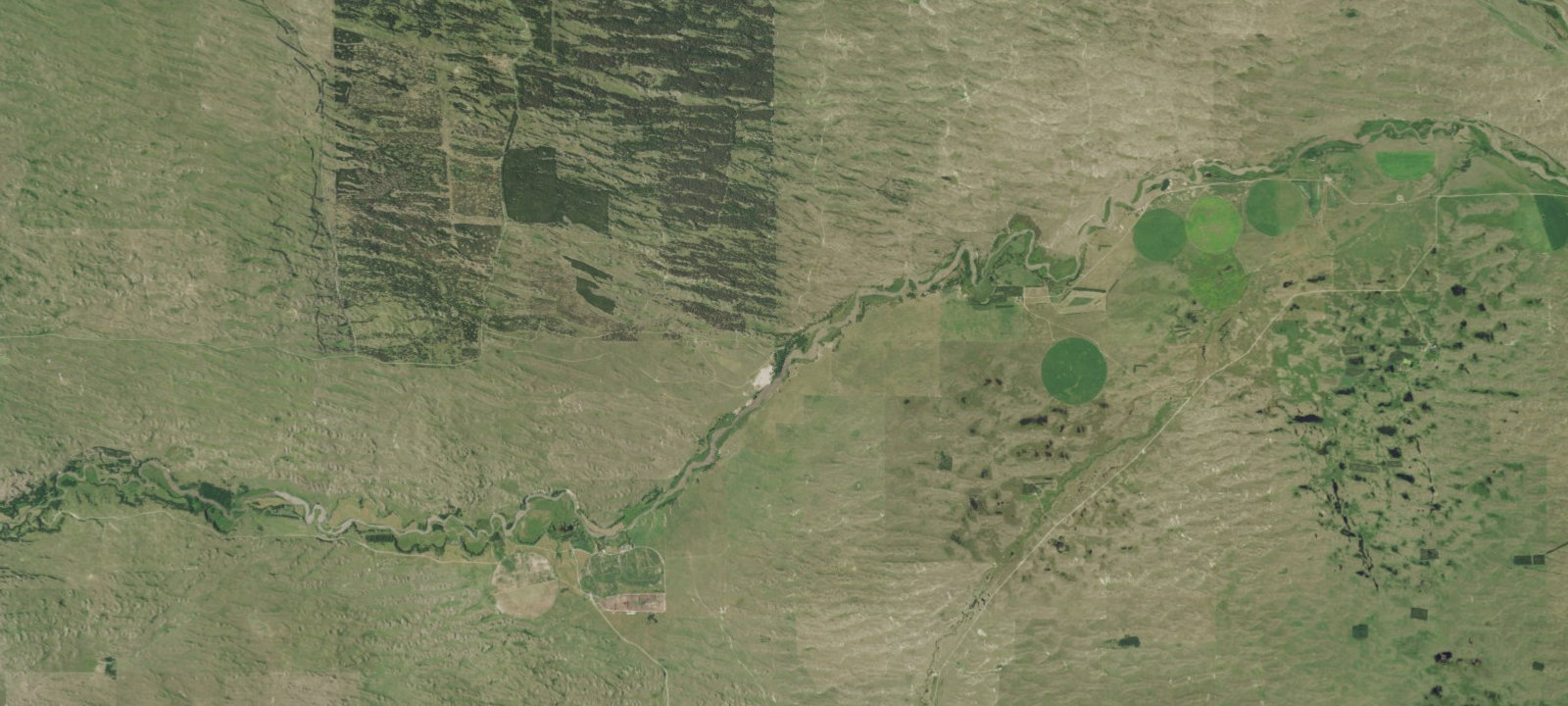 Map of Whitetail