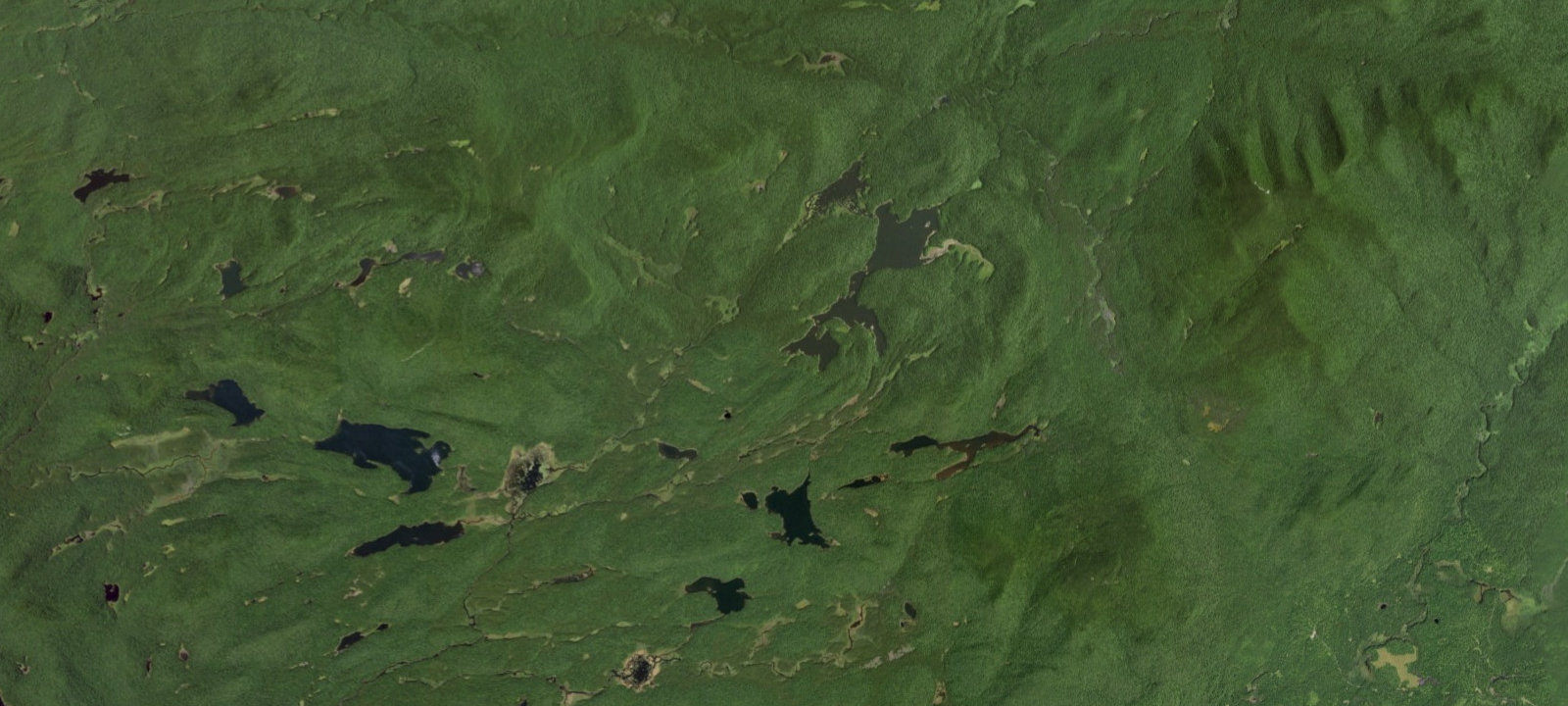 Map of Third Cedar Lake campsite