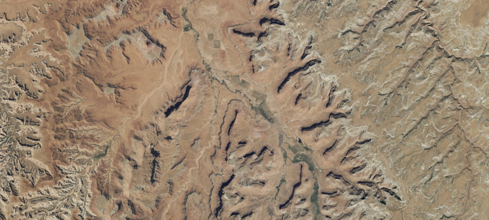 Map of Bridger Jack Designated Campsite #20