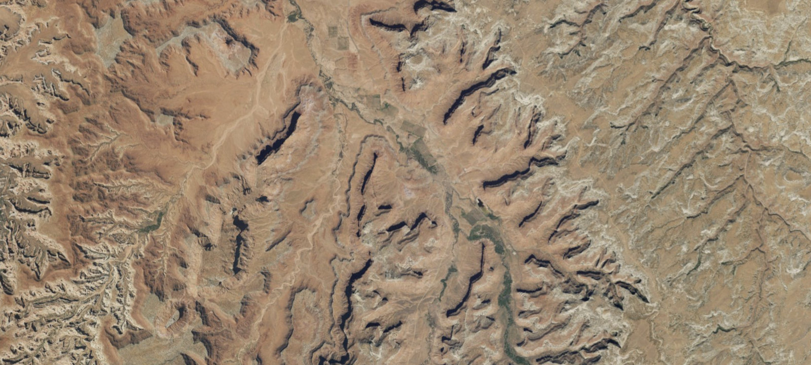 Map of Bridger Jack Designated Campsite