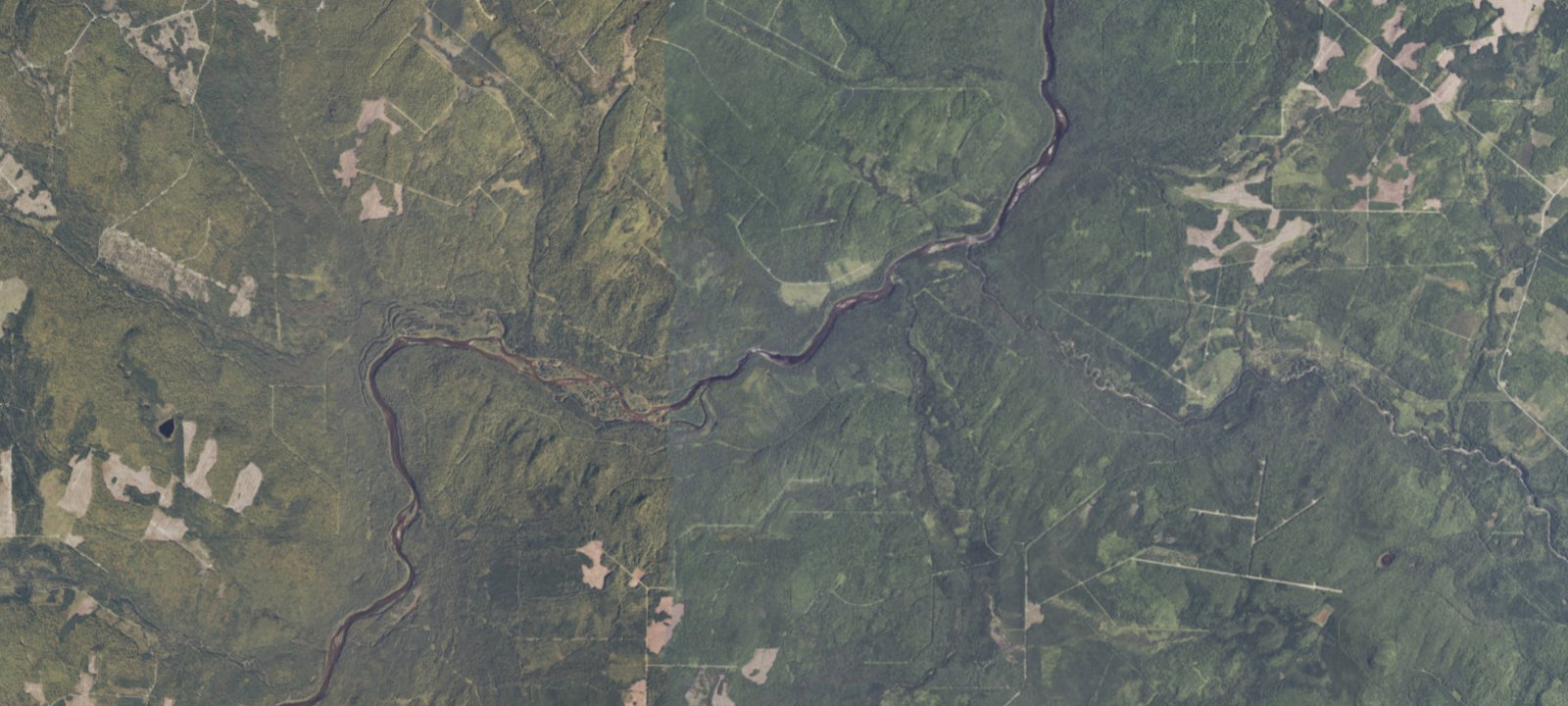 Map of Falls Bank (1)