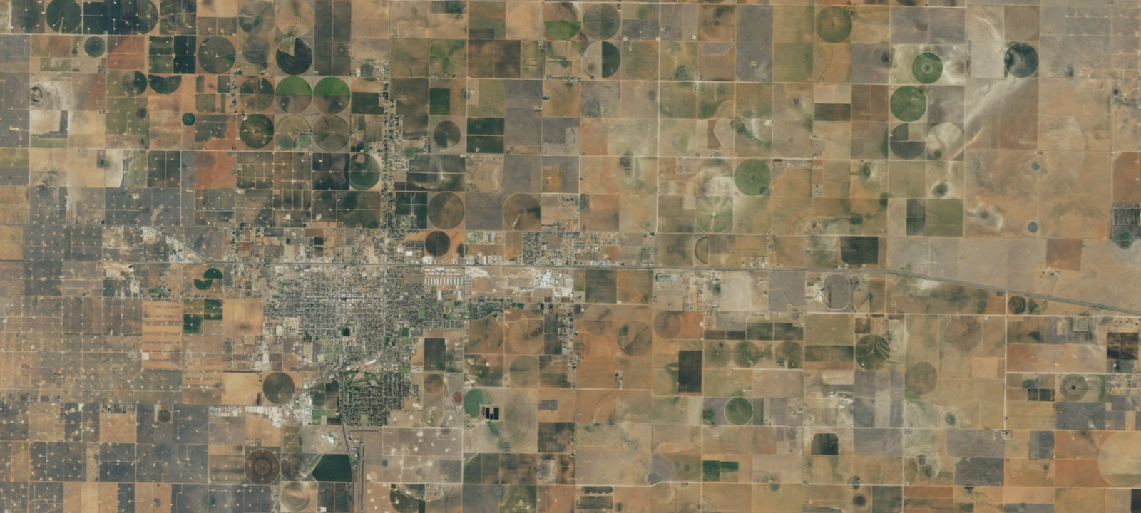 Map of Lone Star Park