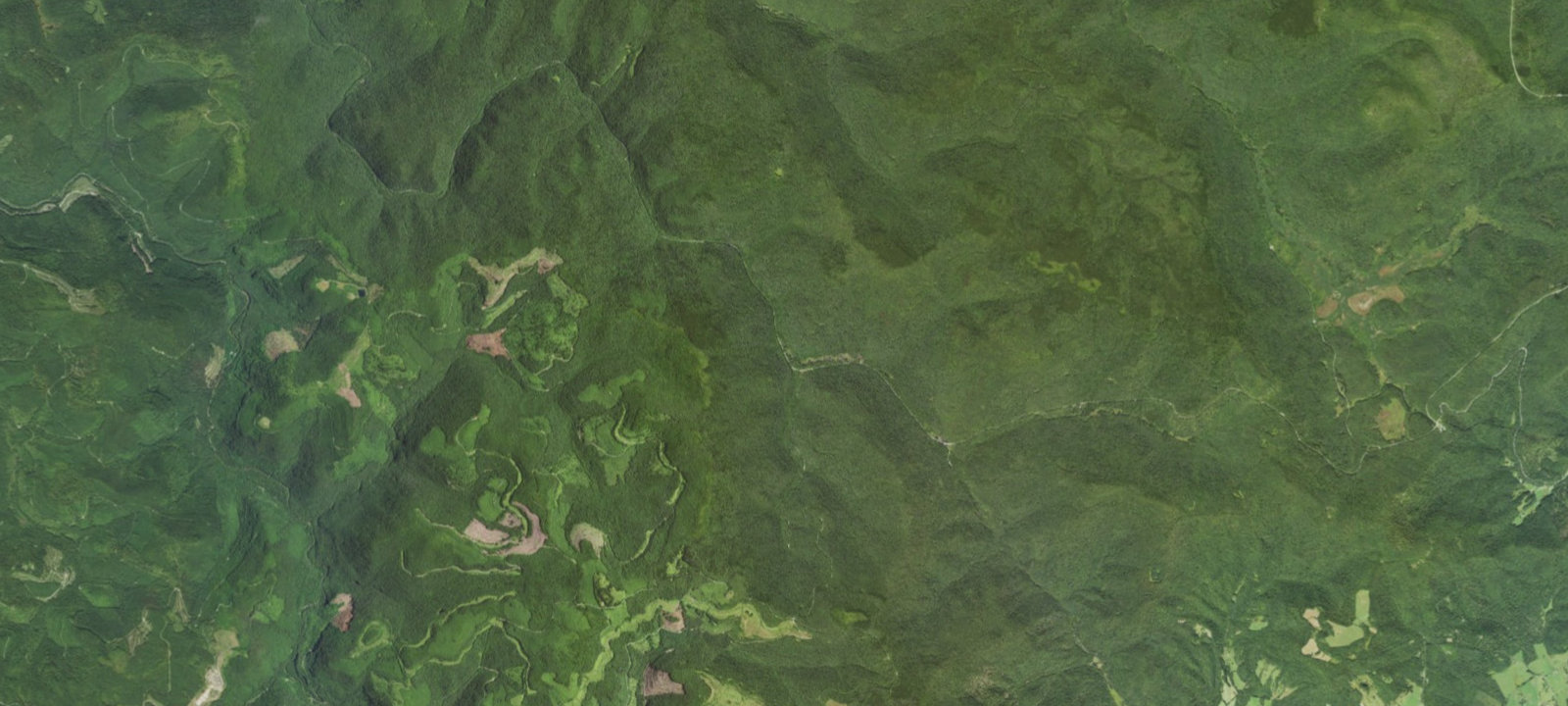 Map of Bear Run Campsites