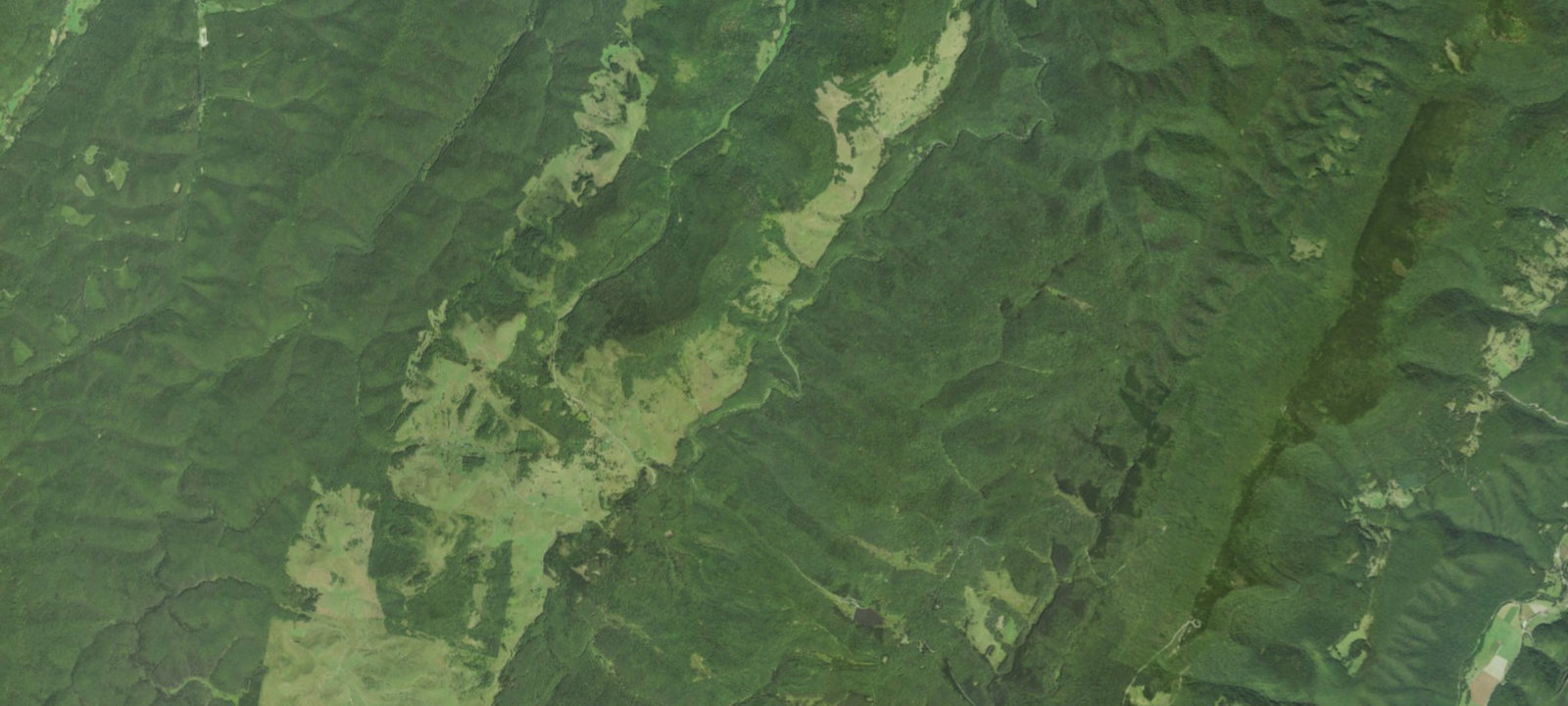 Map of Gandy Creek Dispersed Camping Area