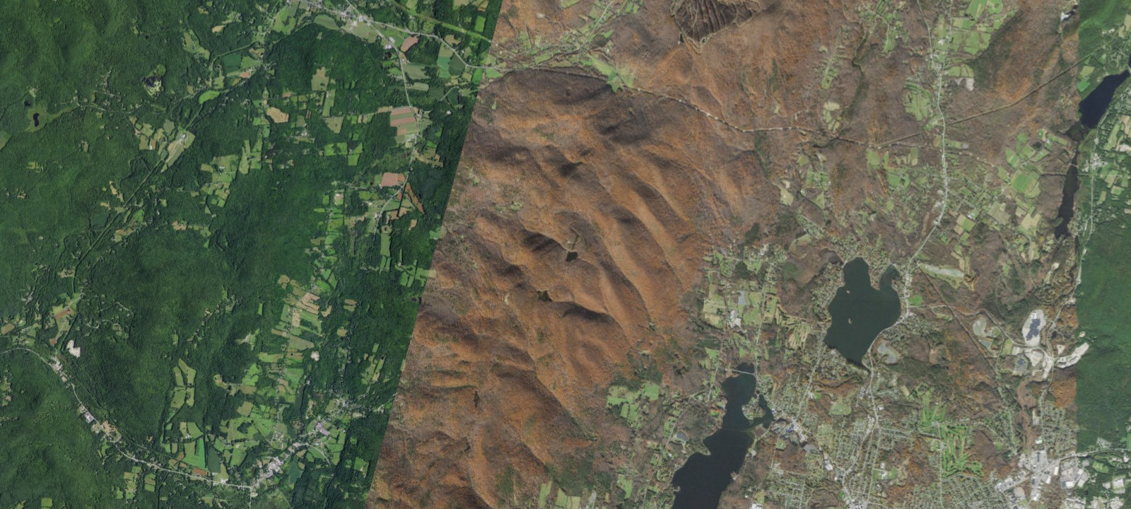 Map of Site 2
