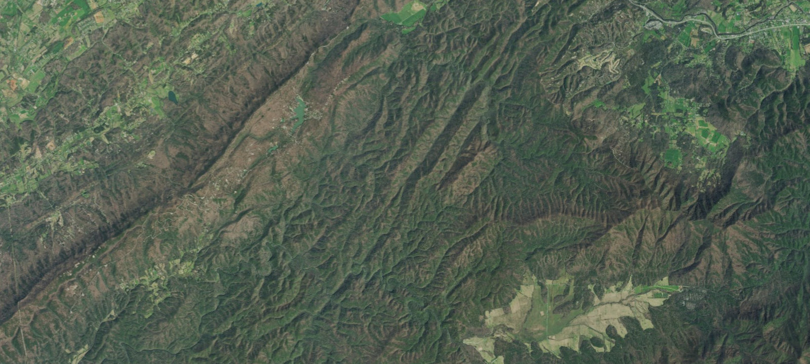 Map of Beard Cane #11