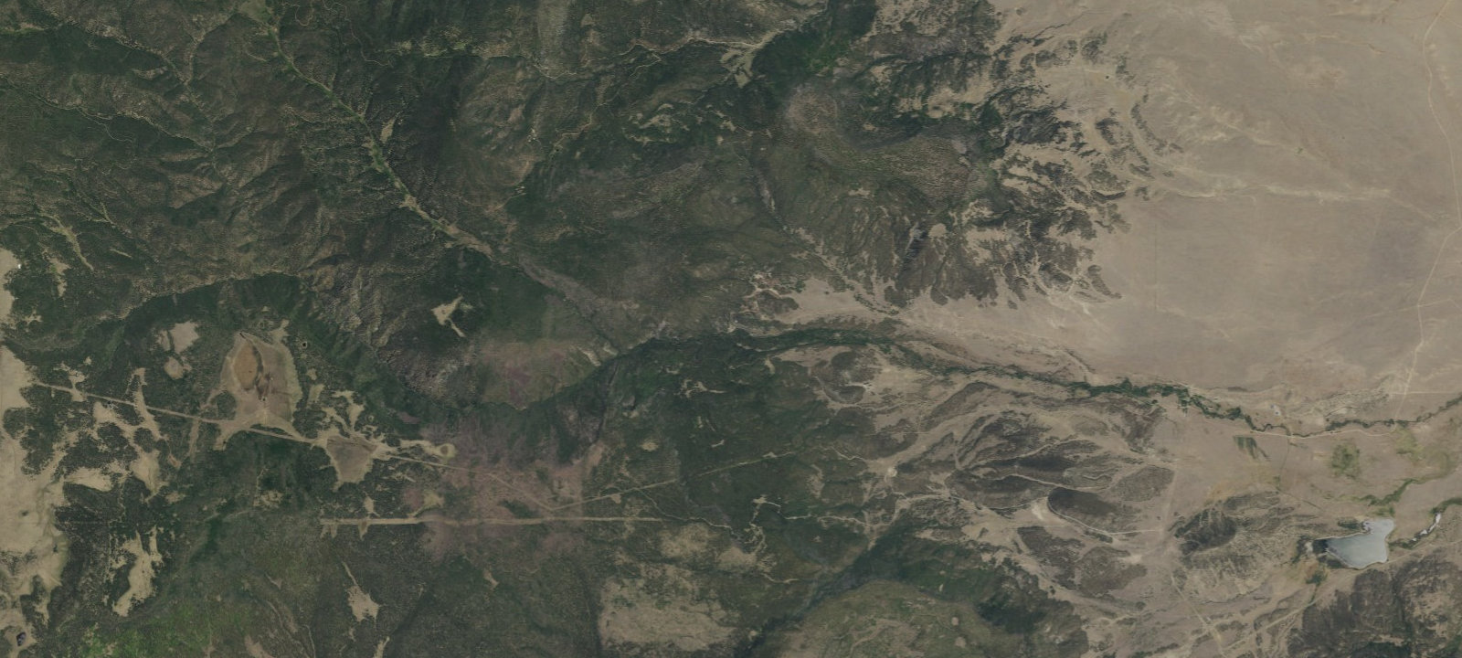 Map of Abreu Camp
