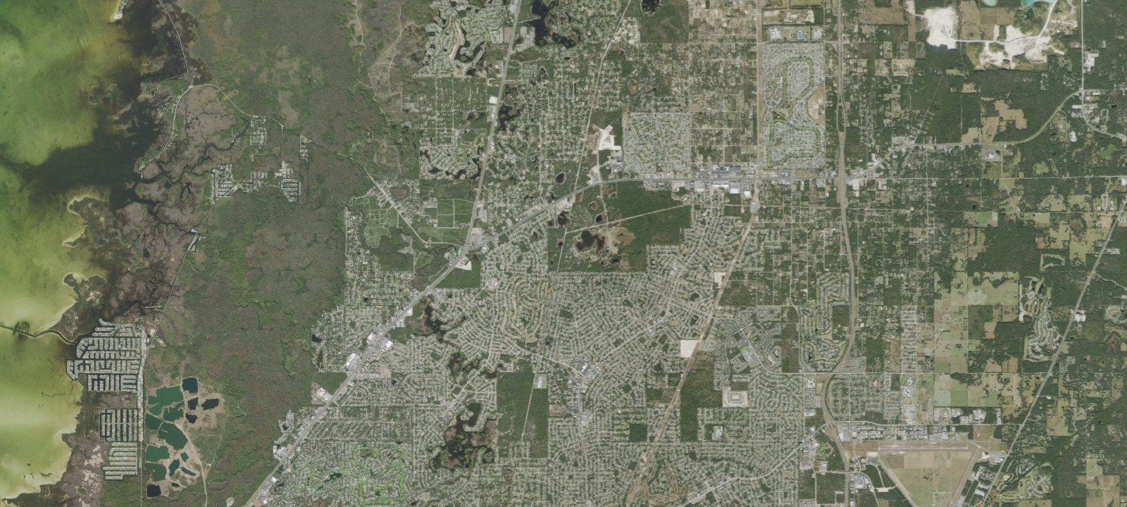 Map of Toad Hollow
