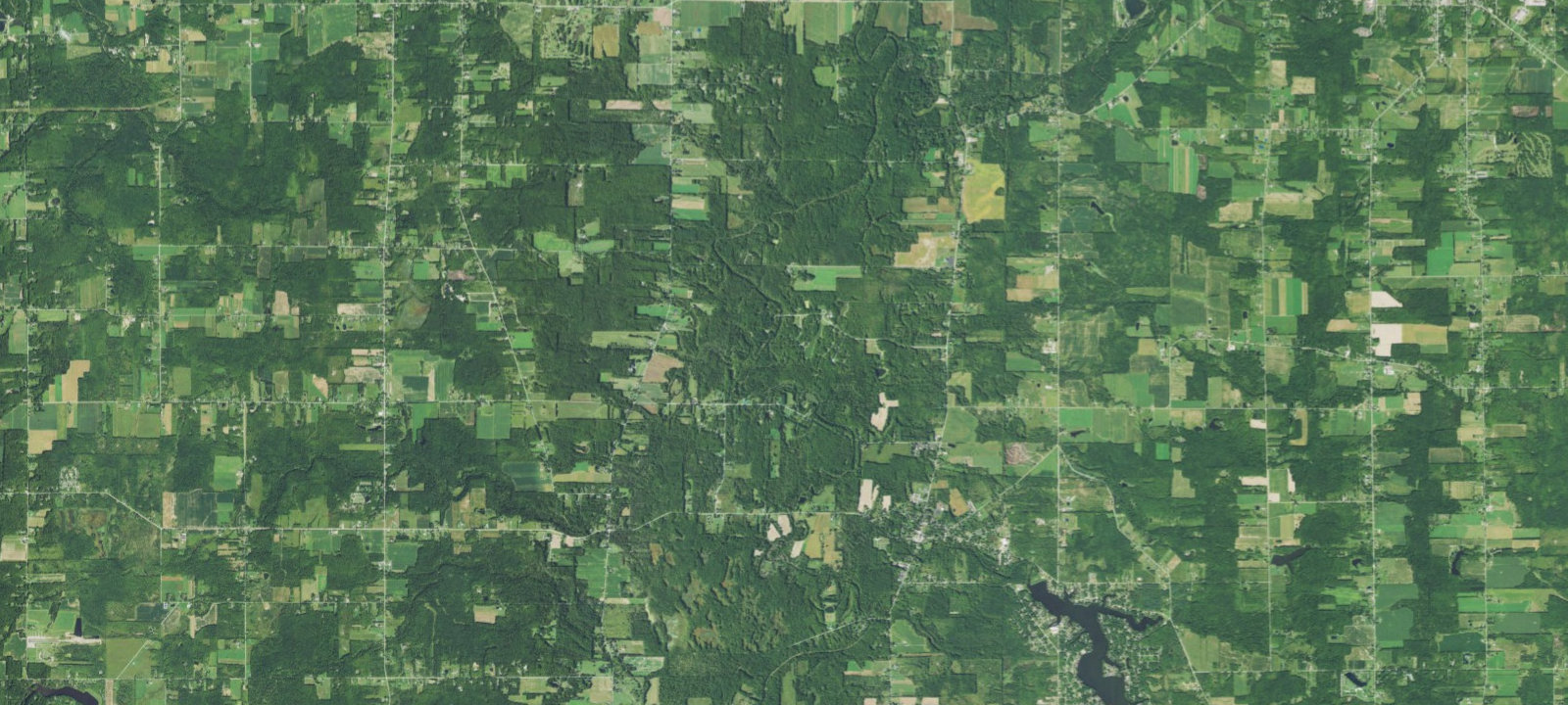 Map of Poplar