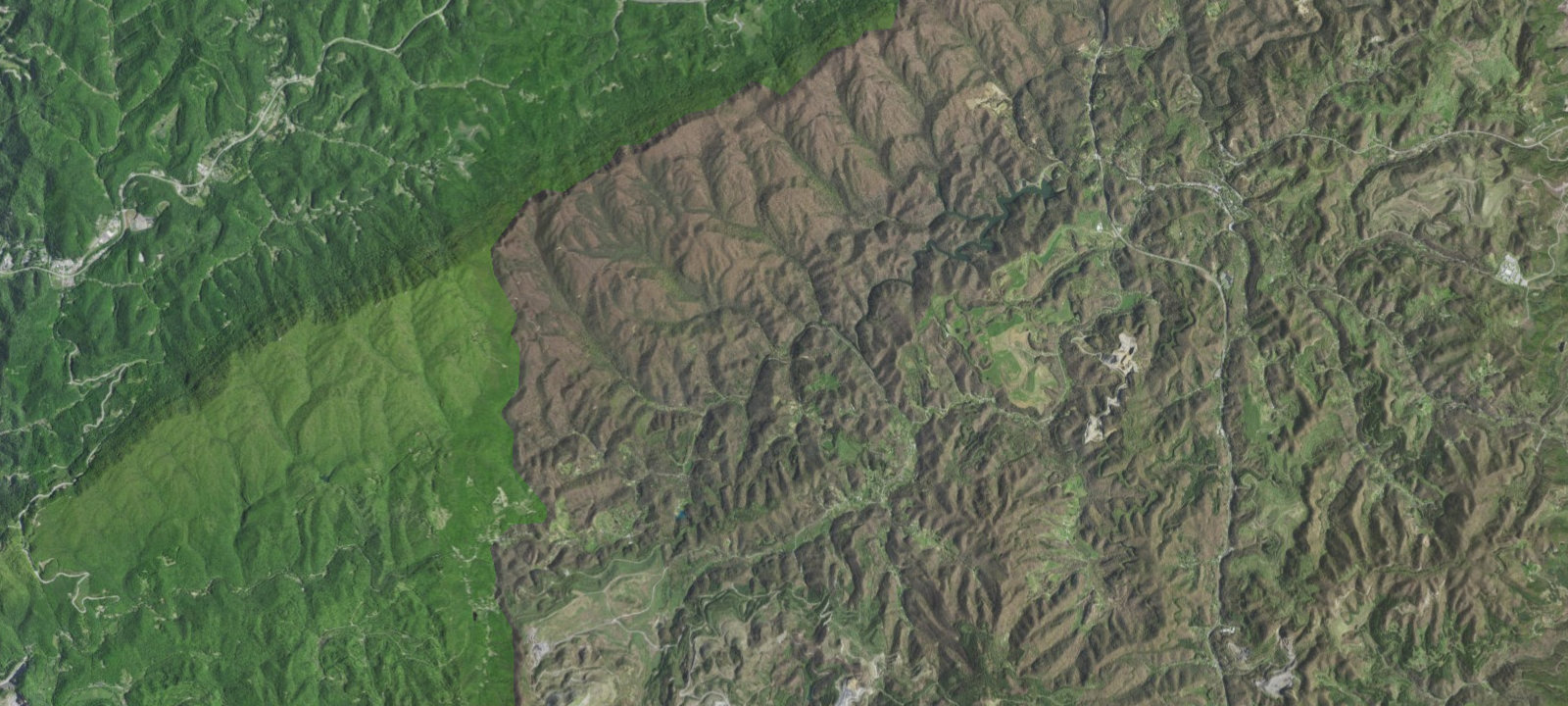 Map of Cane Patch