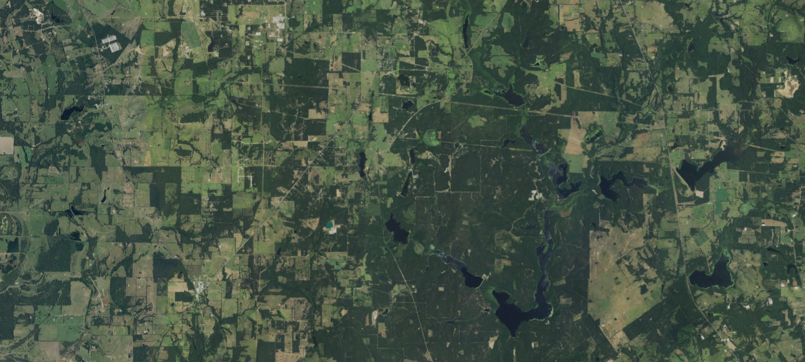 Map of Dogwood Ridge
