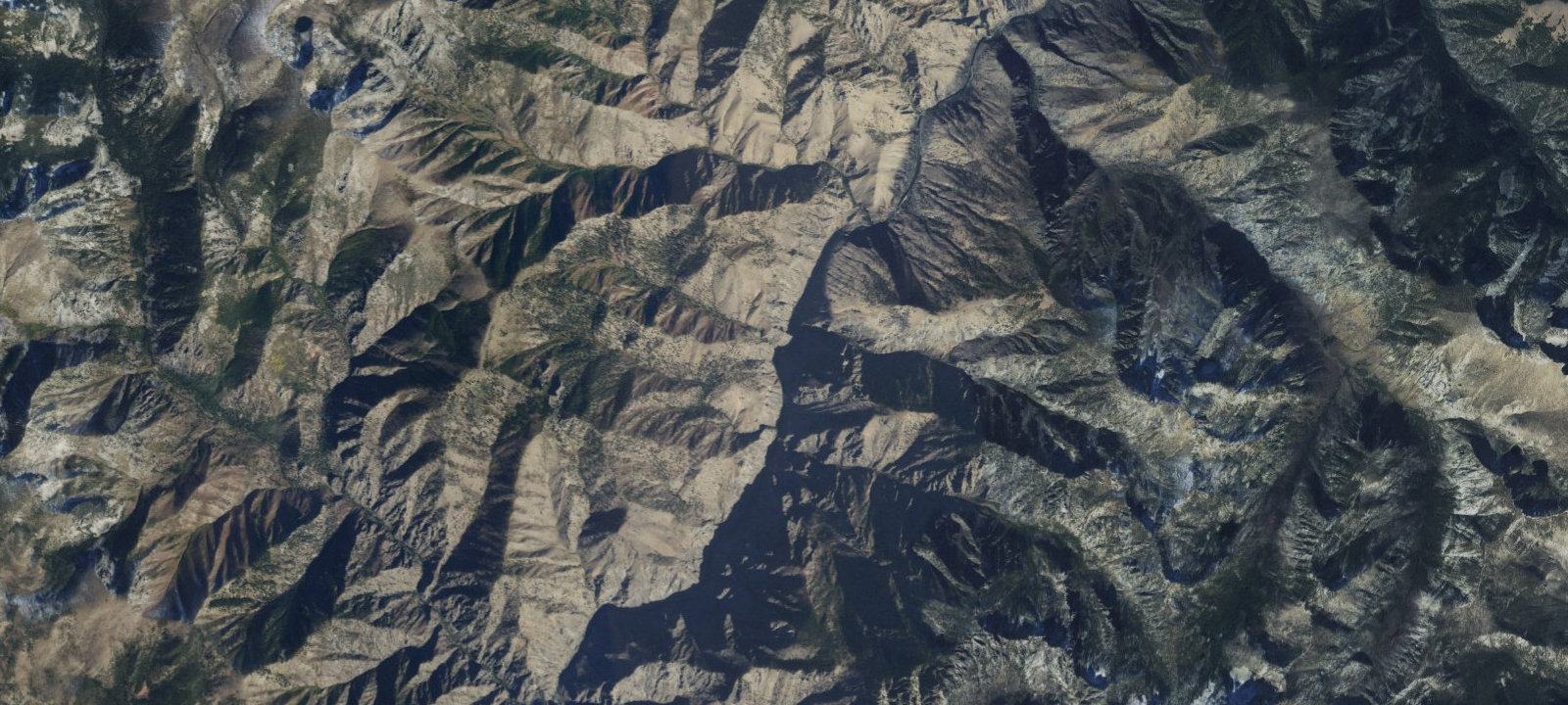 Map of Cradle Creek Campsite