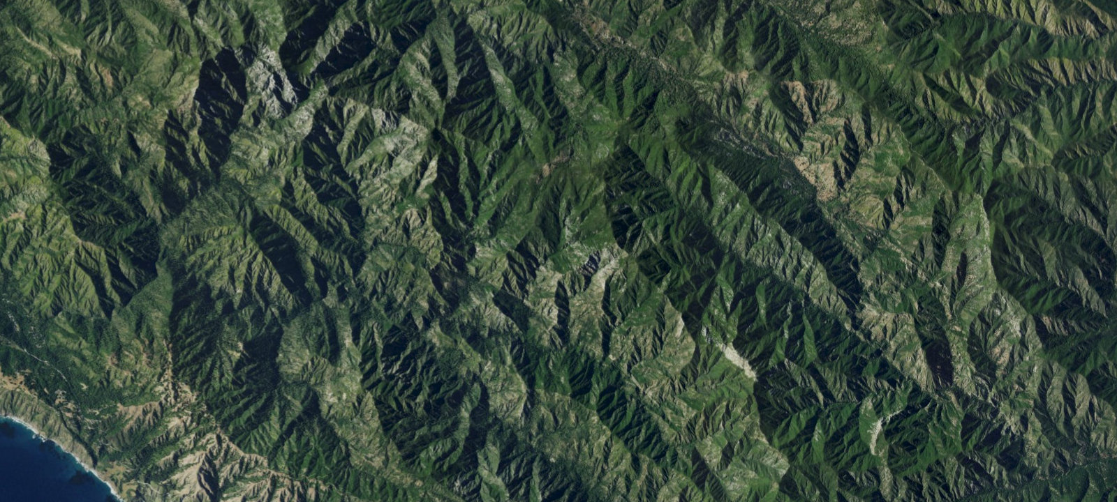 Map of Ringtail Camp
