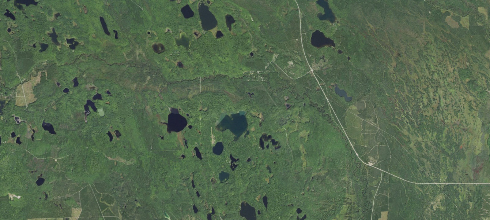 Map of Bass Lake Camping Area