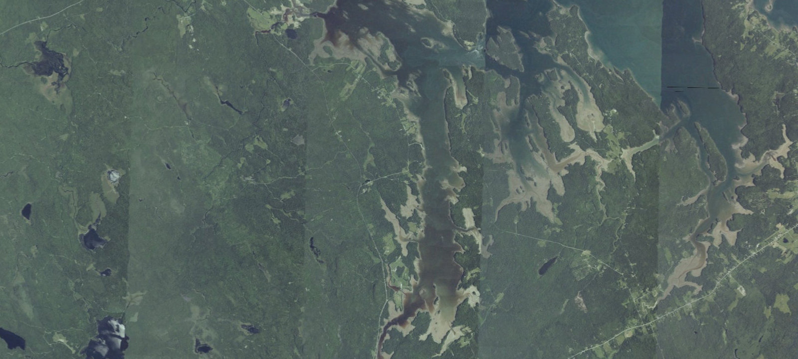 Map of Cobscook Bay State Park Campground