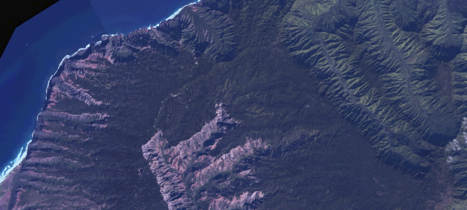 Map of Waikoali Campground