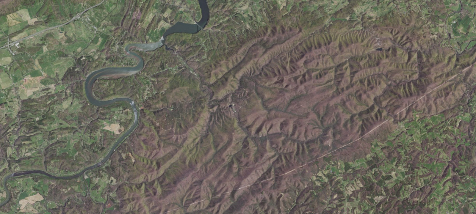 Map of Crow's Nest