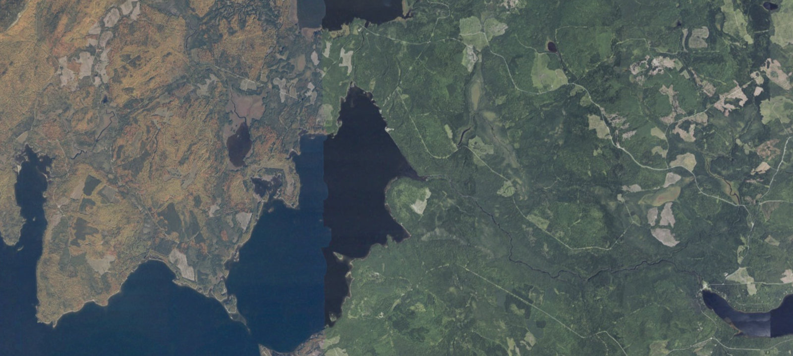 Map of Salmon Island