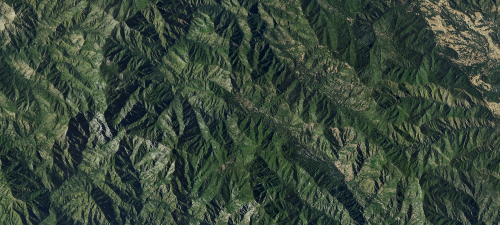 Map of Pine Valley Camp