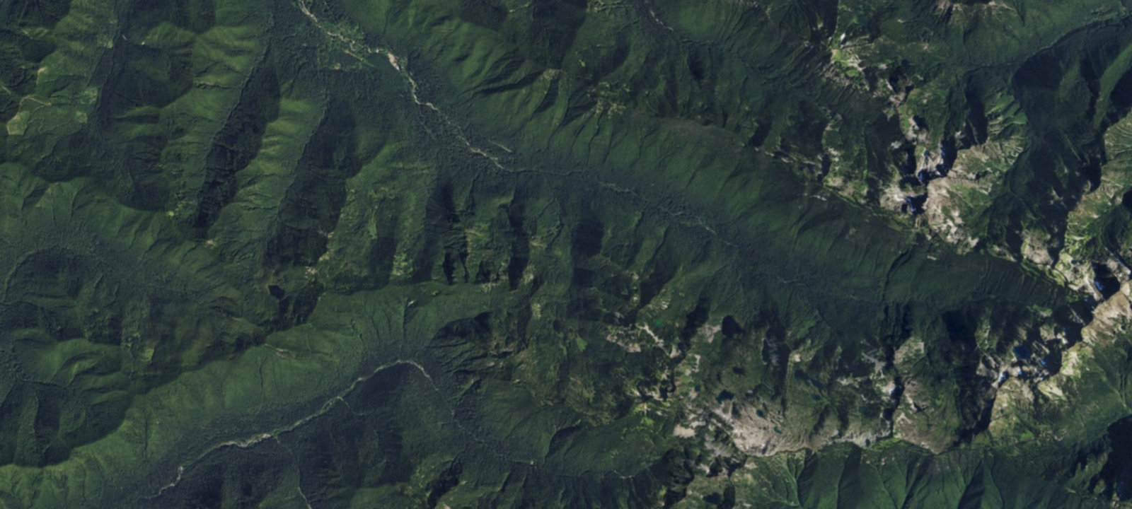 Map of Canyon Creek Campsites