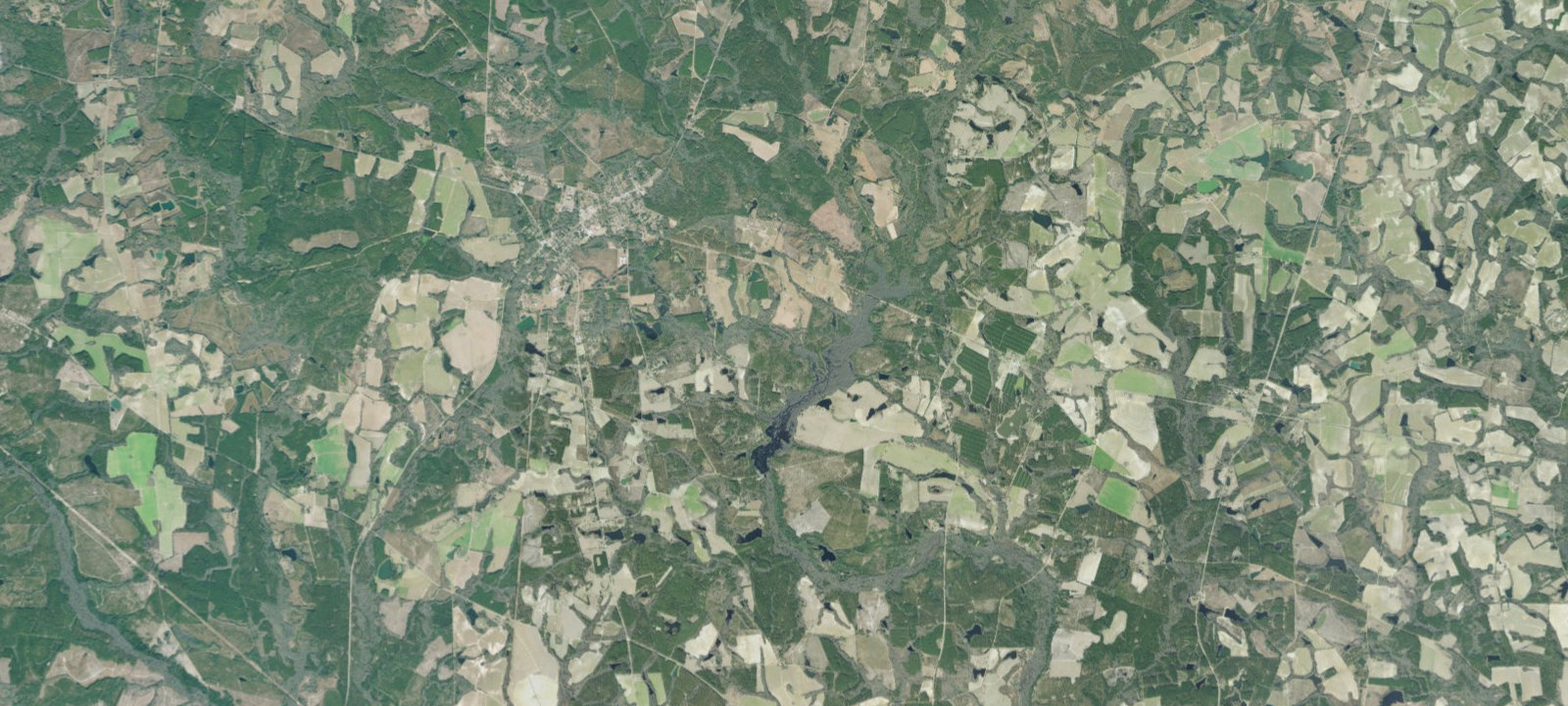 Map of Primative 4