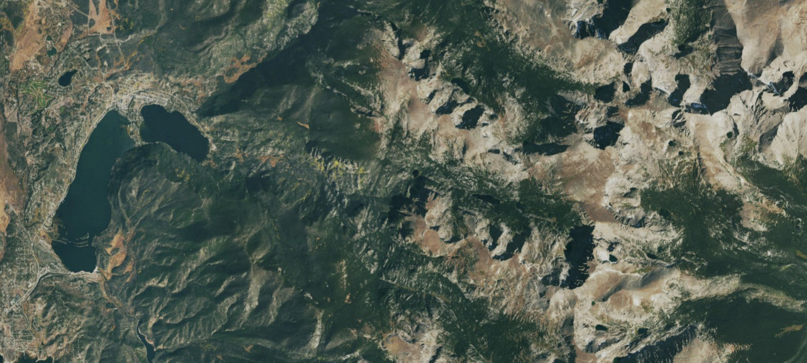 Map of Gray Jay Group