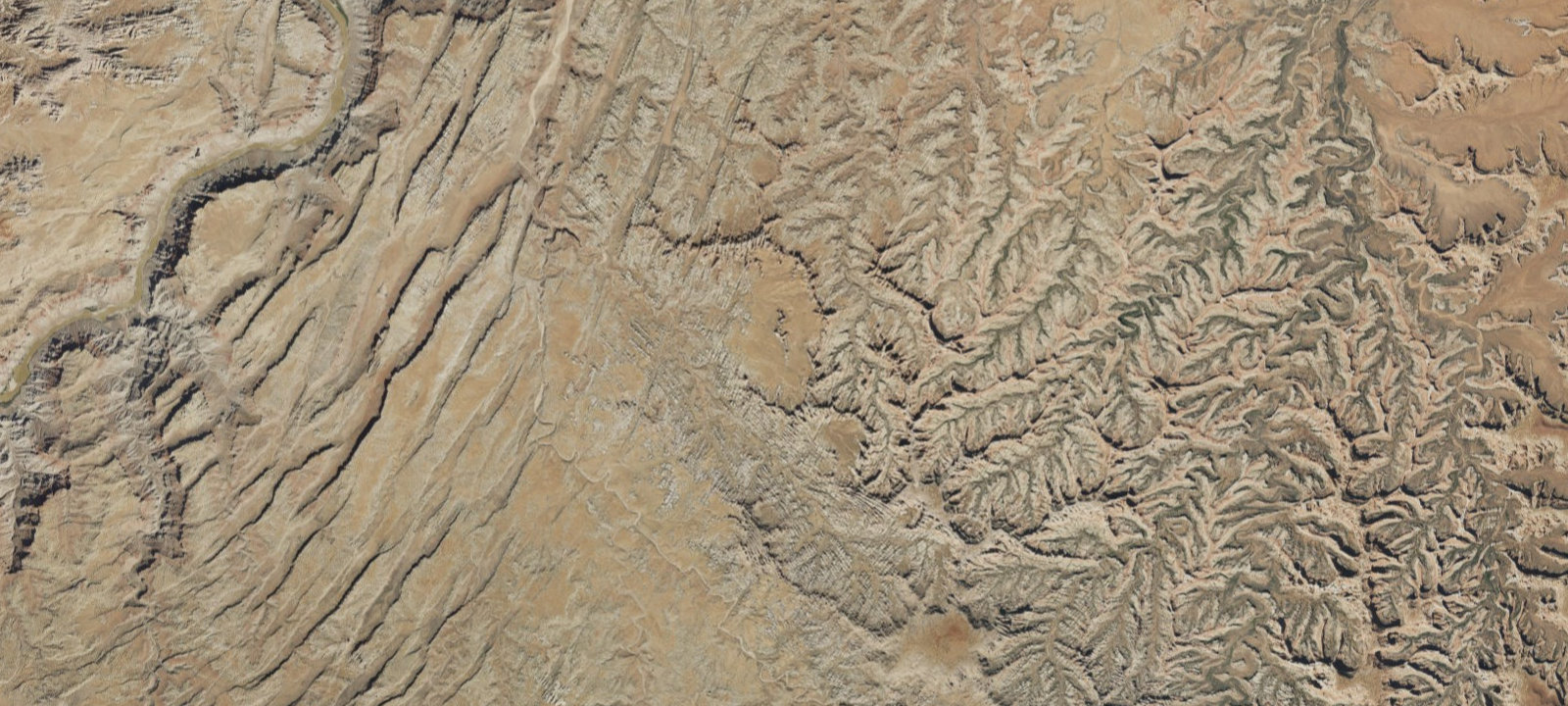 Map of Chesler Park 3 (CP3)