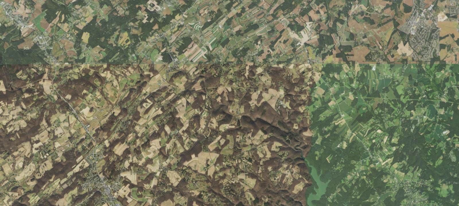 Map of Conestoga Woods