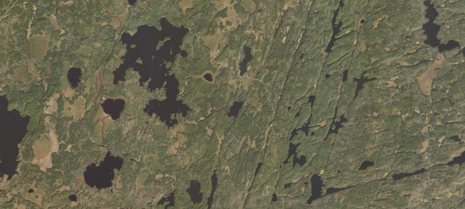 Map of Agassa Lake Site 1