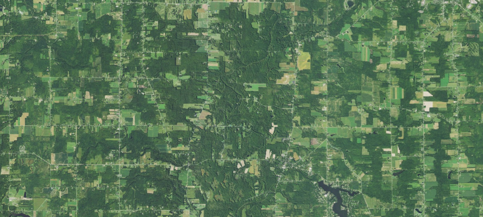 Map of Tulip Grove