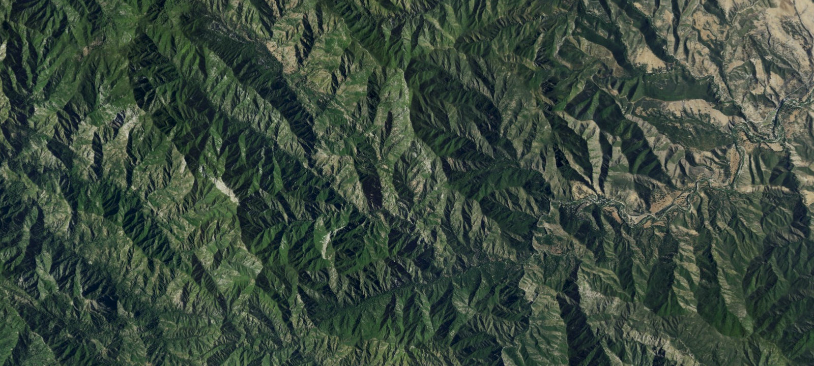 Map of Horse Pasture Camp