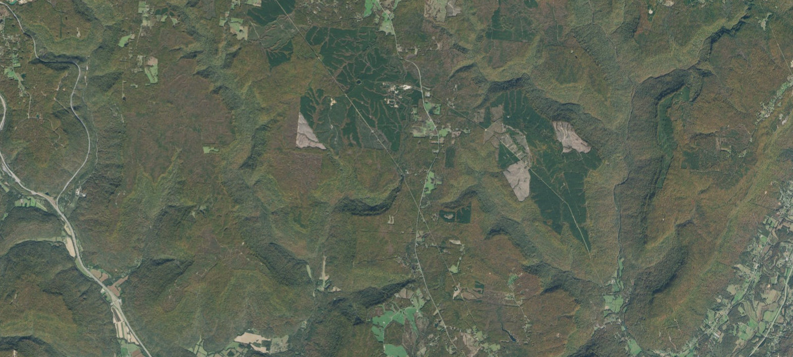 Map of Campsite #8