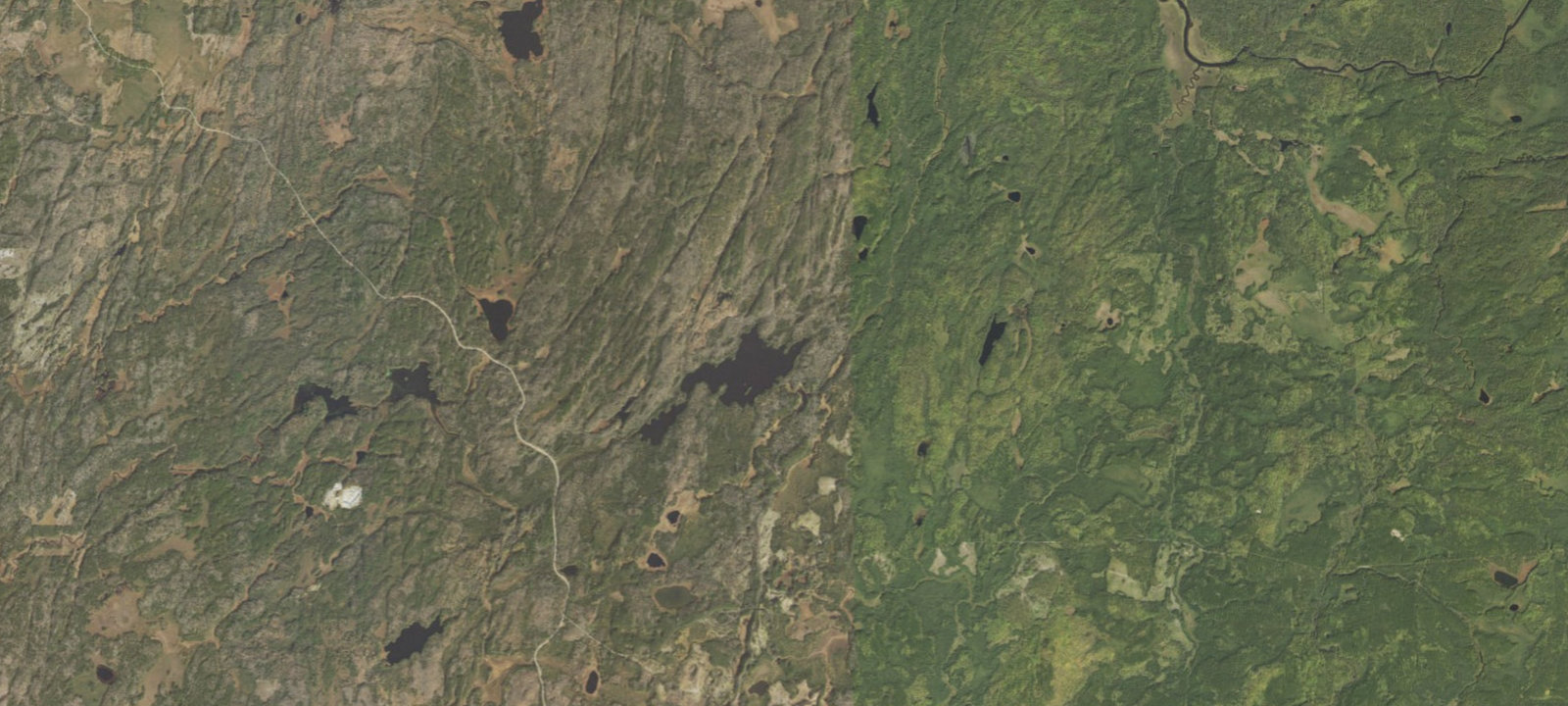 Map of August Lake Site 1