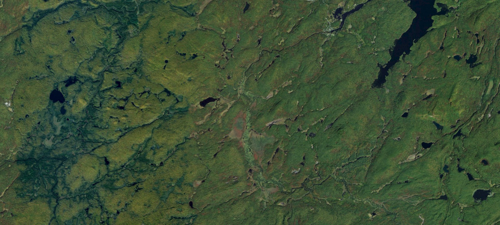 Map of Oswegatchie River Campsite 43
