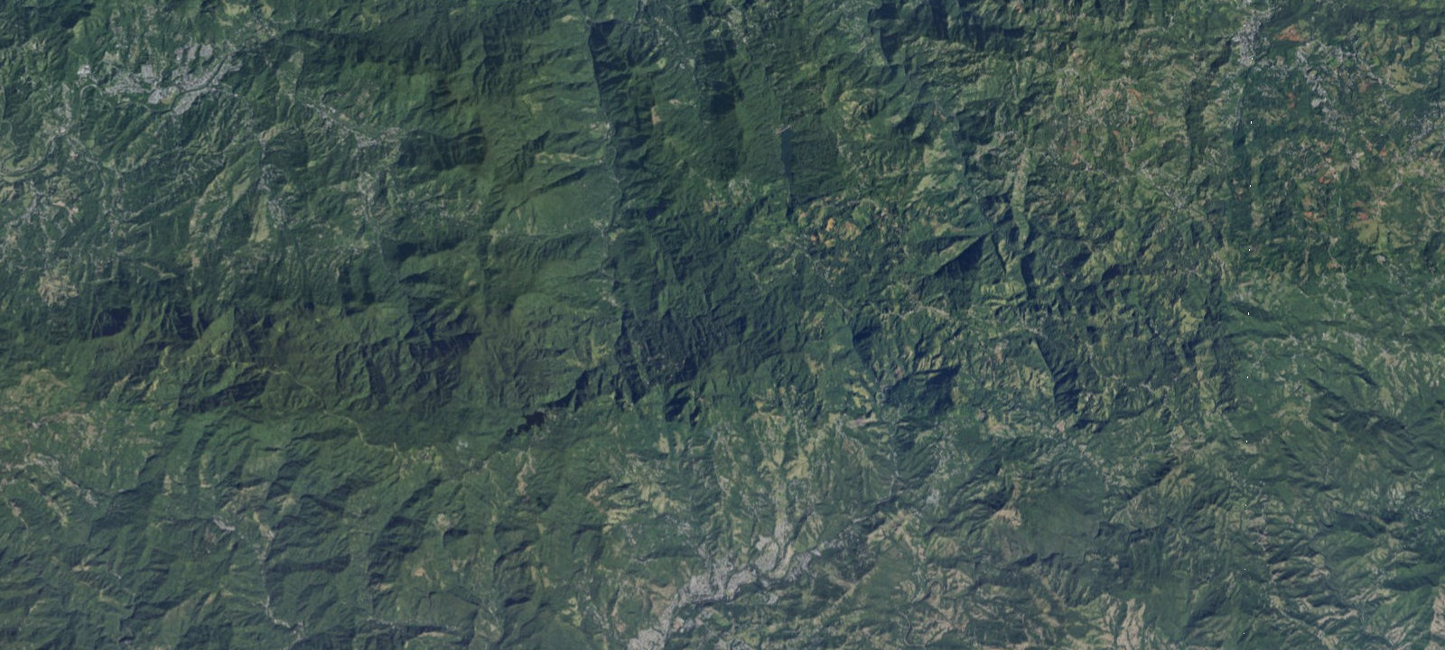 Map of Los Viveros