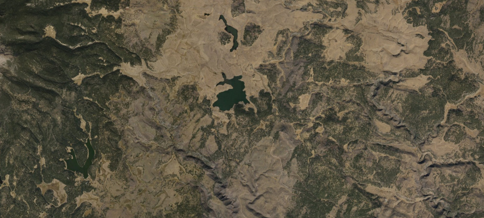 Map of Grayling